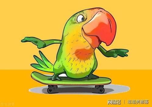 公牛与母牛配种视频,公母牛配种瞬间捕捉