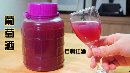 葡萄酒的制作方法视频教程,从葡萄采摘到美酒成瓶