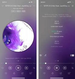 视频音译,探寻视频中的语言奥秘