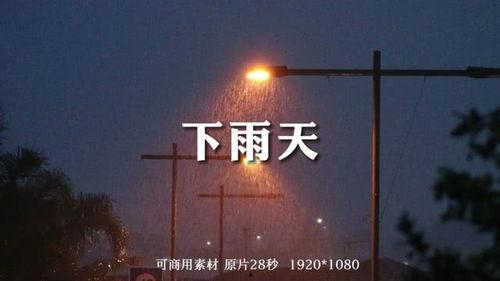 下雨的视频,捕捉自然旋律的瞬间